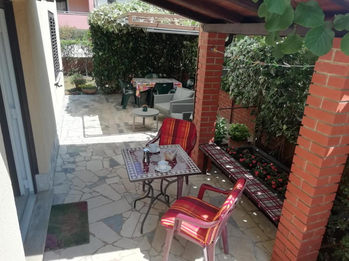 Apartments Mirella Novigrad  Zewnętrze zdjęcie