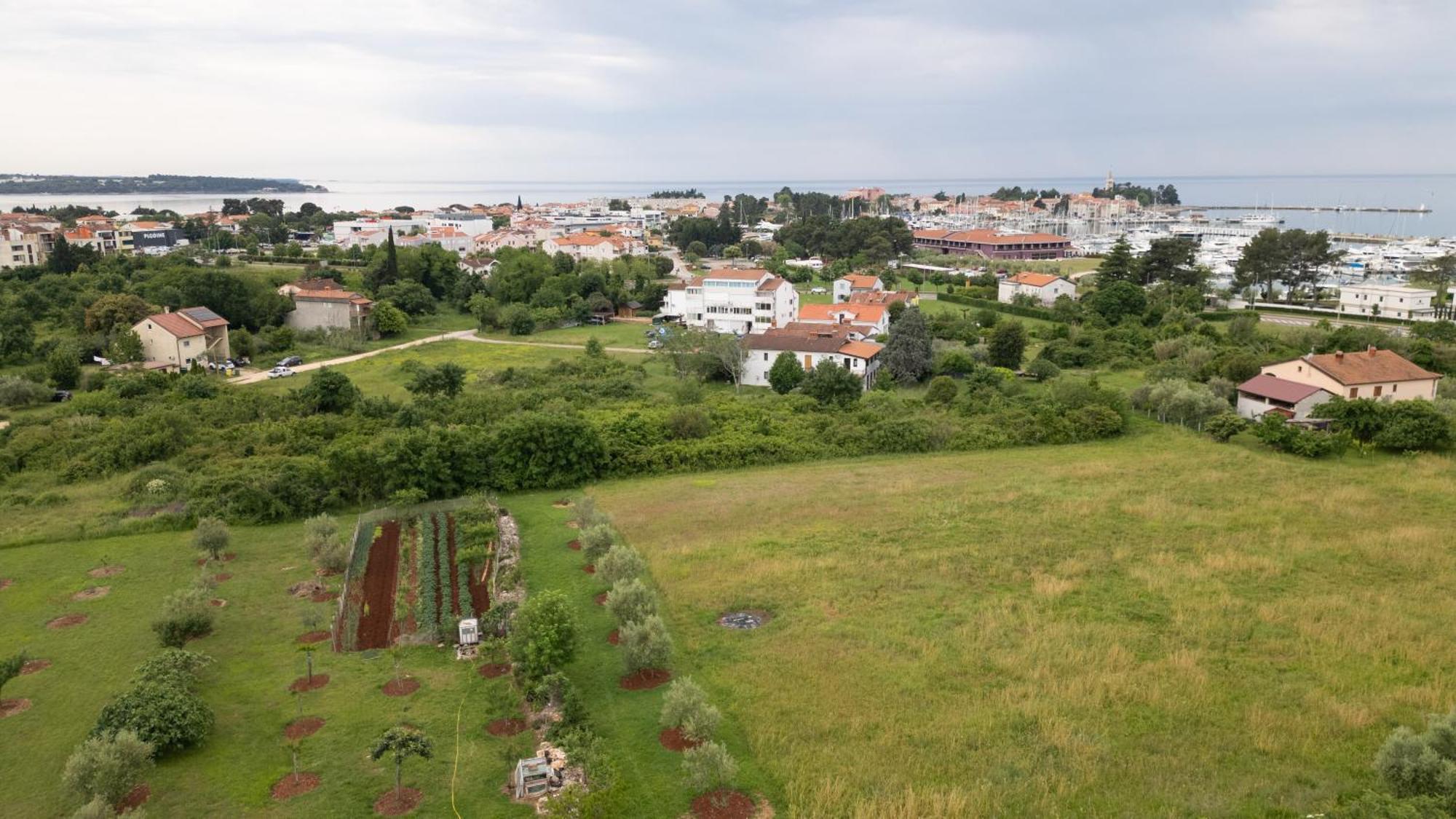 Apartments Mirella Novigrad  Zewnętrze zdjęcie