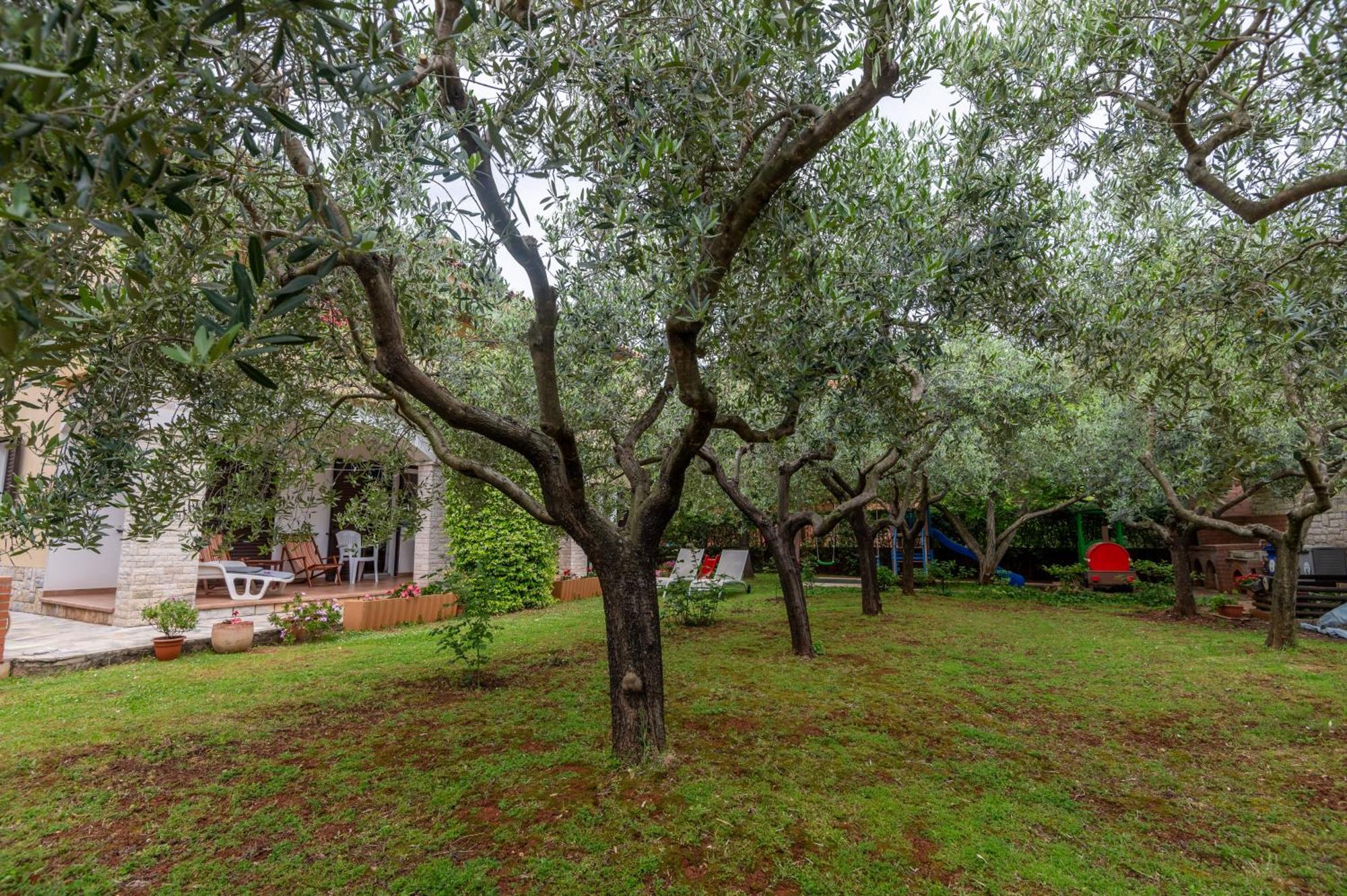 Apartments Mirella Novigrad  Zewnętrze zdjęcie