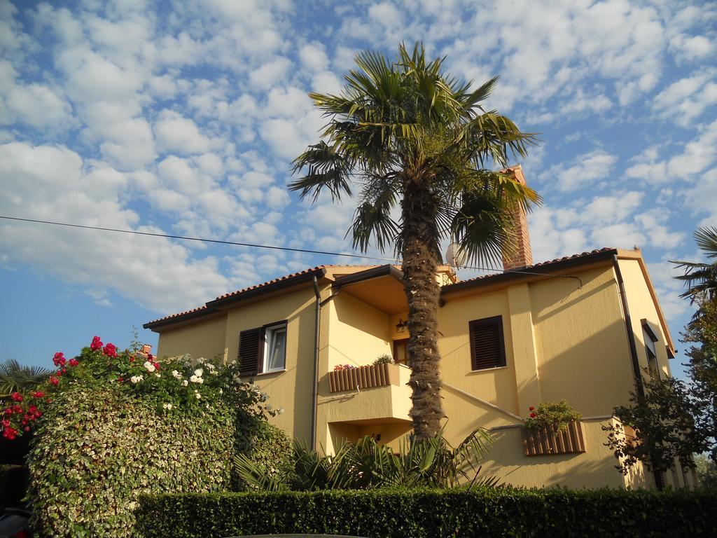 Apartments Mirella Novigrad  Zewnętrze zdjęcie